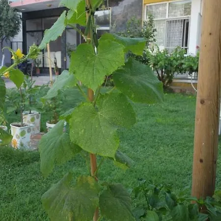 Haciely Thermal * Denizli (Denizli)